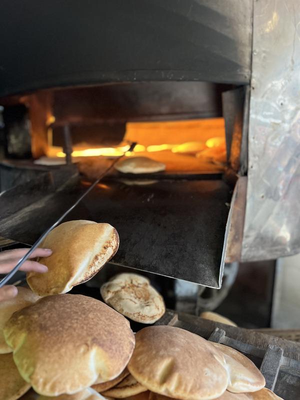 Gazze'de Ekmek Dağıtımlarımız Aralıksız Devam Ediyor - Görsel 6